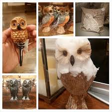 kitchen decor: decorating with an owl theme