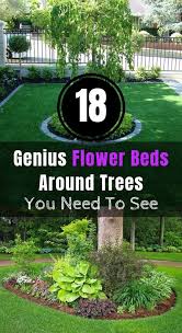 Remove flower heads as they fade as this will encourage more flowers to form. 20 Plants Flowers Around Trees Ideas