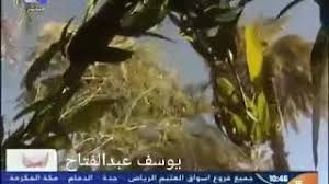 ولد الفنان سلمان دعيج خليفة بن زيمان في مستشفي ام جان، وترعرع في حي شعبي بالمحرق، ومن ثم دخل المدرسة الشمالية الابتدائية. ÙˆØ¯ Ø§Ù„Ø¨Ù„Ø© Ø´ÙÙŠØª Ù…Ù†Ùƒ ÙˆÙ„Ø§ Ø¨Ù†Ø¯Ù… Mp3
