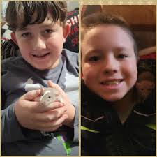 Introduction of pet rats in The Rat Owners community