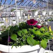 Count on flowers on main to create beautiful bouquets using. Flowers On Main Inc Georgetown Il
