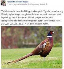 Harapkan pagar, pagar lu langgar lagi makan padi lagi benci lu jadi harapkan pagar, pagar lu langgar lagi mkn padi lagi benci lu jadi. Siakap Keli Betul Ke Peribahasa Harapkan Pagar Pagar Facebook