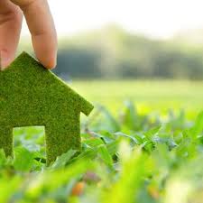 They have been helping dallas residents since 1940. Green Defense Pest Control 13 Photos 26 Reviews Pest Control 1408 W Main St Carrollton Tx Phone Number