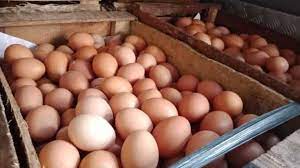 Check spelling or type a new query. Harga Ayam Potong Dan Telur Melonjak Di Makassar Celebesmedia