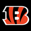 The Cincinnati Bengals - Reddit