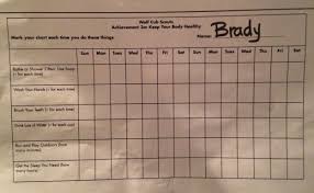 52 Bright Cub Scout Health Habits Chart