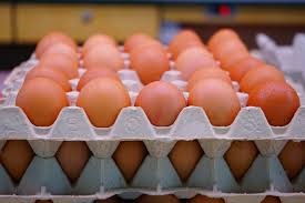 Informasi update harga telur ayam ras terkini kami hadirkan semaksimal mungkin setiap hari sebagai komitmen dan dedikasi ardhi borneo gemilang portal info ternak terdepan di indonesia kepada dunia peternakan unggas khususnya ayam ras petelur. Jual Telur Ayam Di Manado Distributor Terbaik Harga Murah