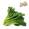 4 kreasi resep sayur bayam yang praktis nikmat dan sehat hello sehat from cdn.hellosehat.com maybe you would like to learn more about one of these? Https Encrypted Tbn0 Gstatic Com Images Q Tbn And9gctchmxozfhxotd0u6yclfblww4kxdacb7cxlngjqbnhtnm0eo9 Usqp Cau