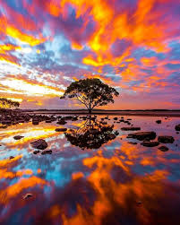 Brisbane Queensland Australia Photograph By Mitchell Pettigrew Mitchellpettigrew Sunset Landscape Sunset Nature Symmetry Photography