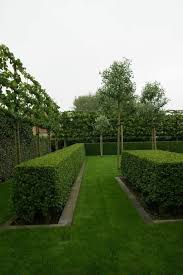 tuinrealisaties grote tuinen in 2021 tuin groene tuin tuin ideeen