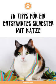 In der nachfolgenden liste finden sie die wichtigsten punkte, die auftreten können, aber nicht müssen: Wahrend Wir Menschen Silvester Gerne Mit Partys Und Feuerwerk Feiern Ist Das Fur Unsere Haustiere Immer Wieder Ein Besonder Katzen Katzen Fakten Katzenhaltung