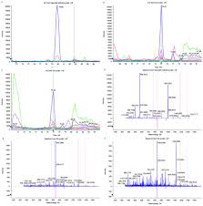 Proteomic Analysis Of Synovial Fluid In Osteoarthritis Using