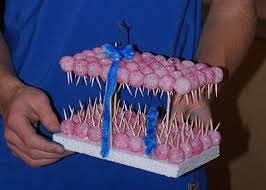 Prairie Pi Ky S Diary Cell Membrane Project Biology Projects Biology Classroom Science Cells