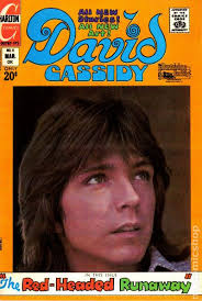 Comic books in 'Photo Cover'