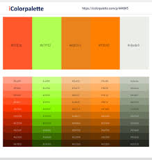 Human eyes perceive orange when observing light with a dominant wavelength. 130 Latest Color Schemes With Outrageous Orange Color Tone Combinations 2021 Icolorpalette