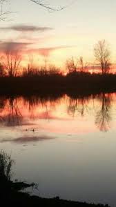 Lake Of The Woods Lake Marshall Michigan Outdoor