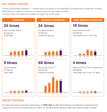 As at 31 march 2021, we had s$16 billion of temasek bonds and s$1.5 billion of ecp outstanding, in equivalent singapore dollar value. My Take On The High Grade T2023 S Temasek Bond Offer Investment Moats