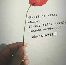Arif sözleri alıntılar, ahmet arif sözleri, ahmed arif sözleri instagram, ahmed arif sözleri aşk. Siir Tumblr Siir Ilham Verici Sozler Ilham Verici Alintilar