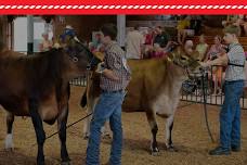 2026 Allen County Fair
