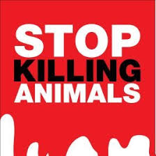 Patrick Yerby (@patrick_yerby)