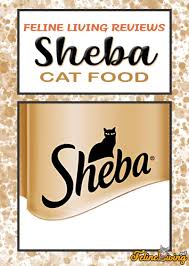 Sheba cat morsals are they good for older cat : Sheba Cat Food Review 2021 Best Wet Cat Food