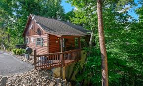 This handicap friendly cabin is located 3 minutes from gatlinburg and 17 minutes from center of pigeon forge parkway traveling to and from will be a breeze. Pigeon Forge Cabins Bear Essentials