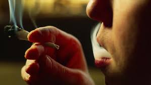 Check spelling or type a new query. The Things You Can Do If Your Neighbours Are Smoking Weed Bristol Live