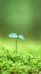We did not find results for: Handy 1080p Natur Wallpaper Hd Live Wallpaper Hd Download Fur Handy 576x1024 Wallpapertip