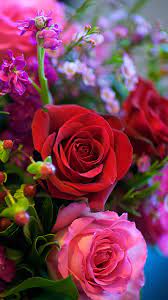 2016 rose hd wallpapers und hintergrundbilder. Rose Phone Hd Wallpapers Wallpaper Cave