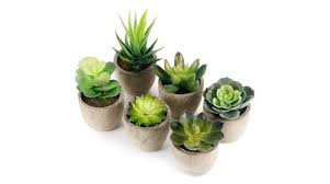 Colección de angie morales robles. 10 Plantas Y Flores Artificiales Para Decorar La Casa Que Parecen De Verdad Escaparate El Pais