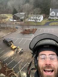 Dollar Tree is hiring for 2025! Morning and evening shift positions are  available with attractive salaries. .....jbv