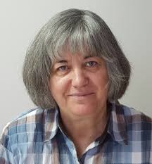 OLDER ADULT ADVISORY PANEL