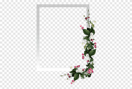 Milioni di risorse grafiche gratuite. Fiori Recisi Design Floreale Cornici Moldura Floreale Aquifoliaceae Fiore Artificiale Png Pngegg