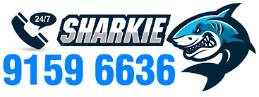 Without an expansion tank the pressure could rise to a dangerous level in a closed system. Water Heater Repairs Installations Cronulla Sydney Sharkie Plumber Sharkieemergencyplumbers