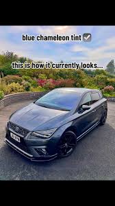 Image result for Blue Seta 2011 159