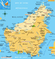 It said that the two projects. Borneo Eco Sense Tour