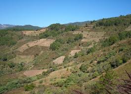 Social Transformation and Differential Inclusion: A Study of the Mobility  and Labour of Indigenous People in the Agricultural Fields of Oaxacalifornia