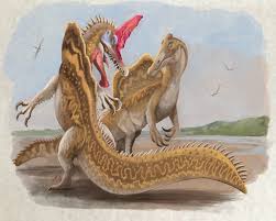 Image result for Astropanax