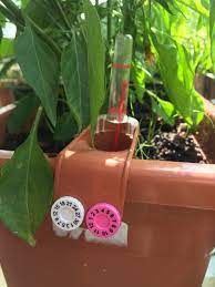 Diese können sich zum beispiel in der länge oder beim material unterscheiden. Erfahrungsbericht Bequeme Bewasserung Dank Balkonkasten Mit Wasserspeicher Biobalkon