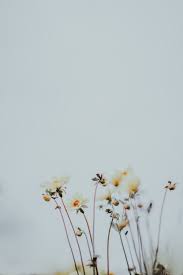 Find your perfect background for your phone, desktop, website or more! Backgrounds 52 Best Free Background Outdoor Wallpaper And Grey Photos On Unsplash