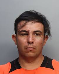 Illegal Alien Crimes