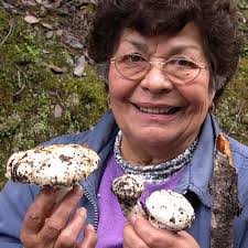 Nontimber Forest Products in the United States: