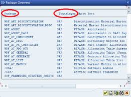 Essential Basis For Sap Abap Bw Functional Consultants Part Ii Sap Essentials Consulting