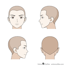 As always, the first step is to draw the hairline. Pin On Tutorials