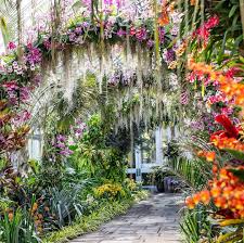 New York Botanical Garden On Instagram The Orchid Show Singapore Is Finally Here This Year S Escape To Sout Botanisk Tradgard Orkide Design Gronsaksland