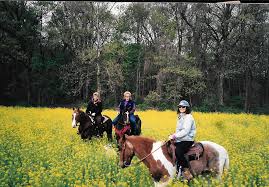 Pamela Larson Obituary (2004)