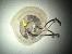 Pull Chain Pendant Light
