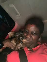 Yorkie Lovers and Breeders