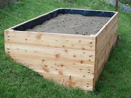 Im Hochbeet Gemuse Anzubauen Ist Schonend Fur Euren Rucken Und Bringt Einen Hohen Ernteertrag Ich Zeige Euch Wie Ihr Eu Hochbeet Garten Hochbeet Hochbeet Holz