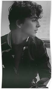 Timothee Poster By Velvetcinema Timothee Chalamet Pretty People Beautiful Boys